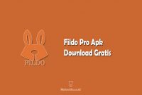 Fildo Pro Apk
